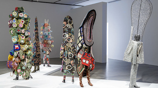 This Artistic Armor Defends Against Everything but Funny Looks